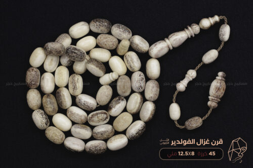 قرن غزال الفولدير (الأيل الأوروبي)