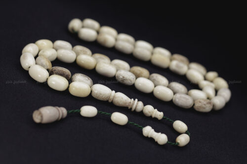 قرن غزال الفولدير (الأيل الأوروبي)