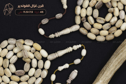 قرن غزال الفولدير (الأيل الأوروبي)