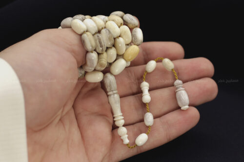 قرن غزال الفولدير (الأيل الأوروبي)