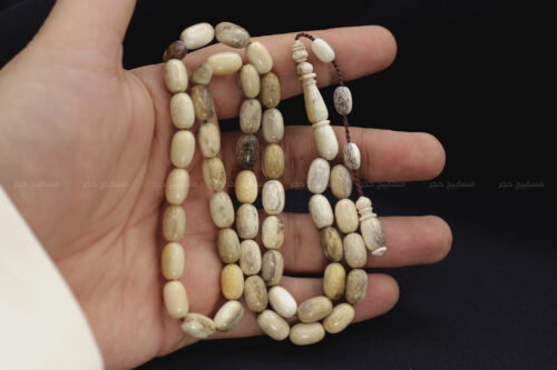 قرن غزال الفولدير (الأيل الأوروبي)