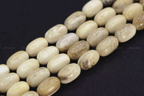 قرن غزال الفولدير (الأيل الأوروبي)