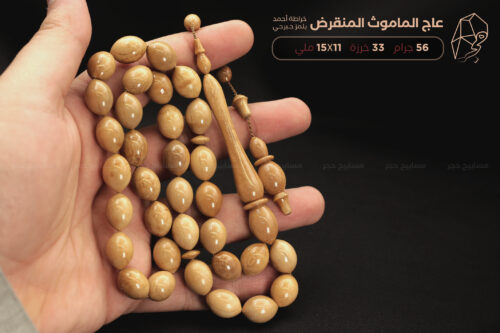 عاج الماموث المنقرض (خراطة أحمد جيرجي)