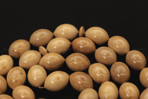 عاج الماموث المنقرض (خراطة أحمد جيرجي)