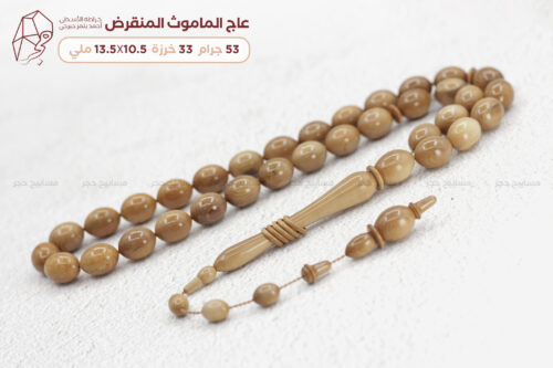 عاج الماموث المنقرض