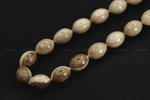 عاج الماموث المنقرض