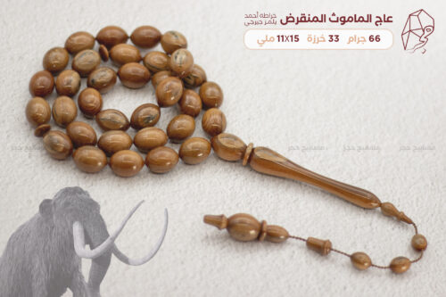 عاج الماموث المنقرض (خراطة أحمد جيرجي)