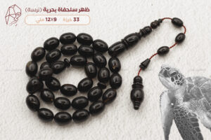 ظهر سلحفاة بحرية (ترسة)