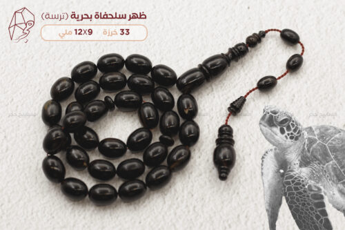 ظهر سلحفاة بحرية (ترسة)