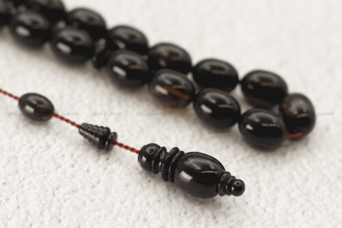 ظهر سلحفاة بحرية (ترسة)