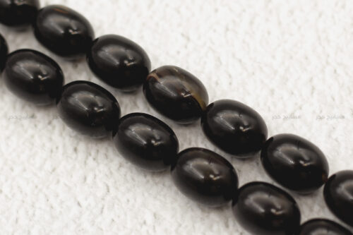 ظهر سلحفاة بحرية (ترسة)