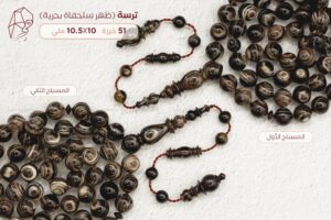 ترسة (ظهر سلحفاة بحرية)