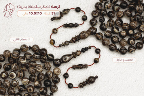 ترسة (ظهر سلحفاة بحرية)