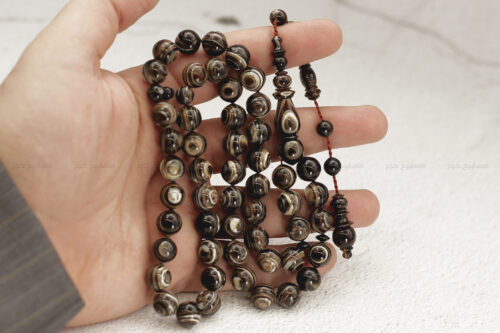 ترسة (ظهر سلحفاة بحرية)