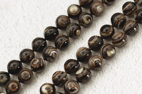 ترسة (ظهر سلحفاة بحرية)