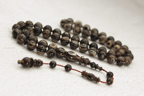 ترسة (ظهر سلحفاة بحرية)