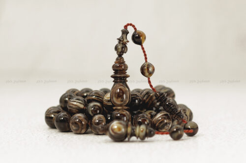 ترسة (ظهر سلحفاة بحرية)