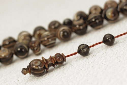 ترسة (ظهر سلحفاة بحرية)