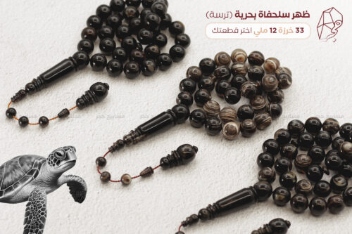 ترسة (ظهر سلحفاة بحرة)