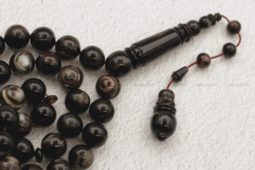 ترسة (ظهر سلحفاة بحرة)