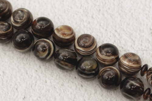 ترسة (ظهر سلحفاة بحرة)