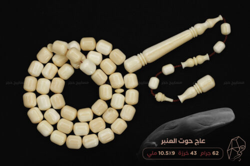 عاج حوت العنبر (منوصف بالكامل)