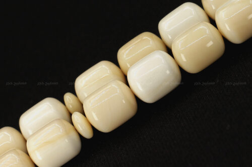 عاج حوت العنبر (منوصف بالكامل)