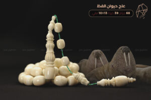 عاج حيوان الفظ (طقم منقوش)