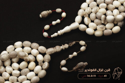 قرن غزال الفولدير (الأيل الأوروبي)