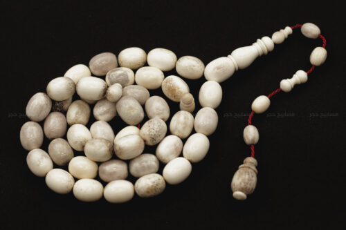 قرن غزال الفولدير (الأيل الأوروبي)