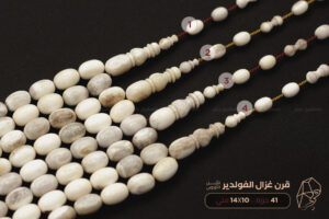 قرن غزال الفولدير (الأيل الأوروبي)