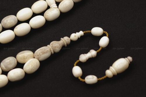 قرن غزال الفولدير (الأيل الأوروبي)