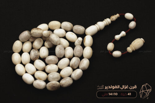 قرن غزال الفولدير (الأيل الأوروبي)