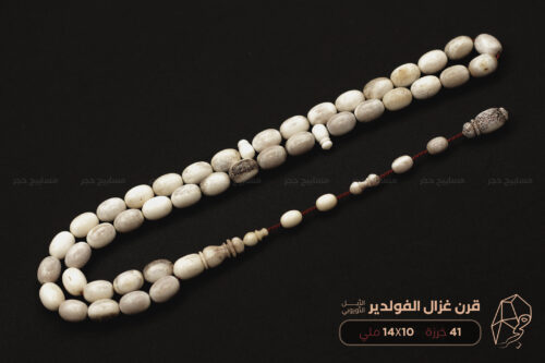 قرن غزال الفولدير (الأيل الأوروبي)