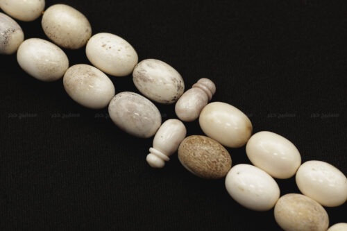 قرن غزال الفولدير (الأيل الأوروبي)