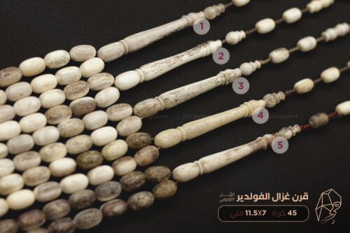 قرن غزال الفولدير (الأيل الأوروبي)