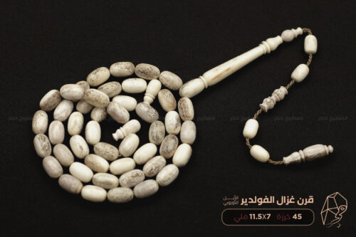 قرن غزال الفولدير (الأيل الأوروبي)