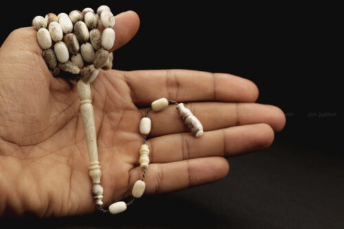 قرن غزال الفولدير (الأيل الأوروبي)