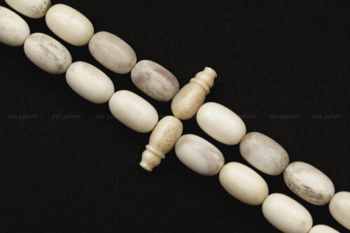 قرن غزال الفولدير (الأيل الأوروبي)