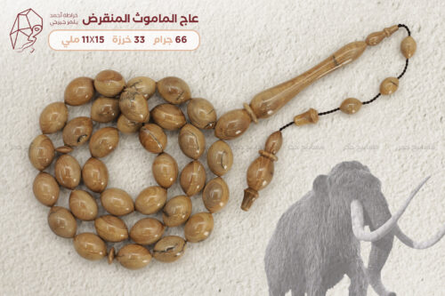 عاج الماموث المنقرض (خراطة أحمد جيرجي)