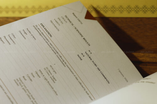 السد٥ مسباح السدو (إبداع فني على قطعة من عاج الفيل)