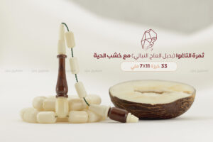 ثمرة التاغوا مع خشب الحية (خشب الثعبان)