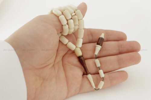 ثمرة التاغوا مع خشب الحية (خشب الثعبان)