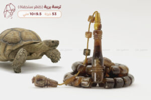 ترسة برية (ظهر سلحفاة)