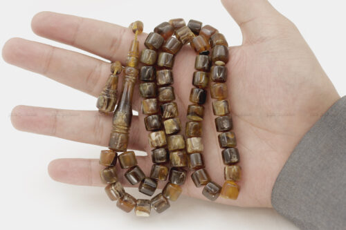 ترسة برية (ظهر سلحفاة)