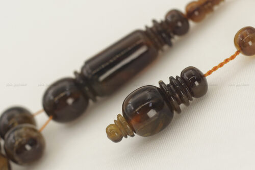 ترسة برية (ظهر سلحفاة)