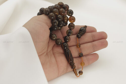 ترسة برية (ظهر سلحفاة)