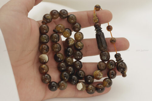 ترسة برية (ظهر سلحفاة)