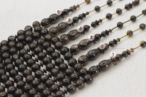 ترسة (ظهر سلحفاة بحرية) عيون