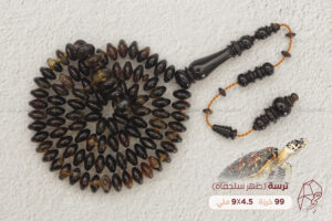 ترسة (ظهر سلحفاة بحرية)